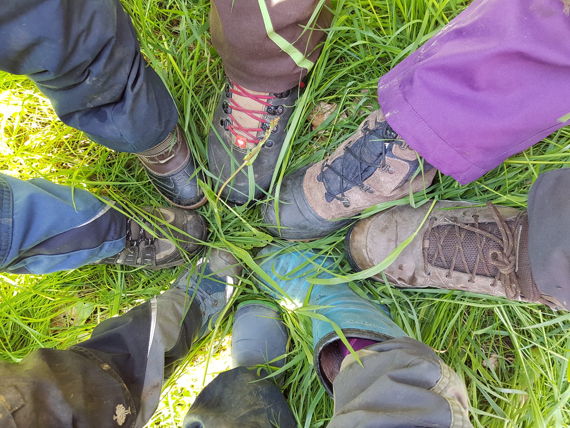 Füße in Wanderschuhen und Gummistiefeln im Kreis auf der Wiese, von oben