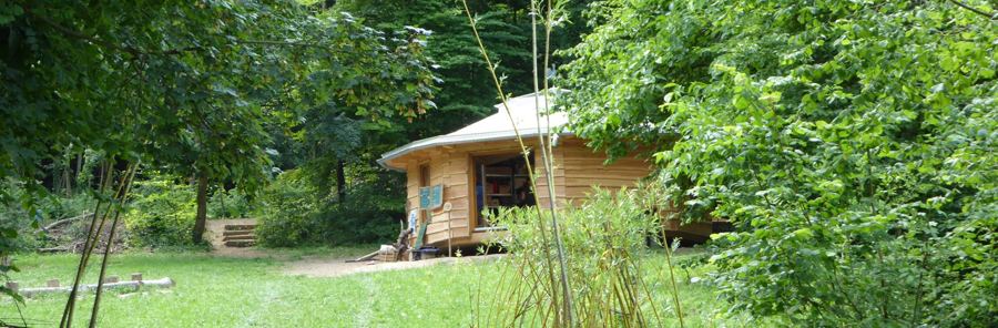 Runde Holzhütte auf einer Lichtung am Waldplatz im Sommer