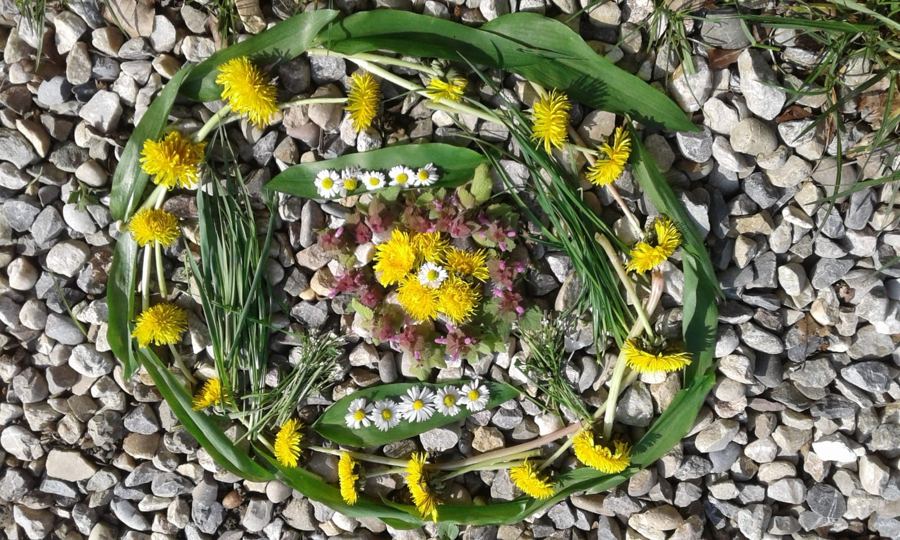 Legebild aus Löwenzahn, Gänseblümchen und Blättern auf Kies