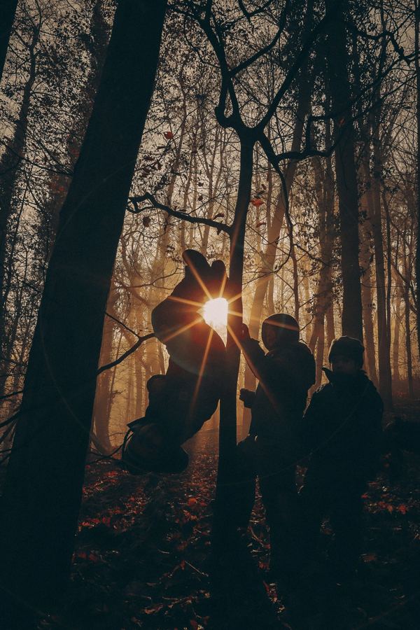 Kinder klettern als Silhouetten im Gegenlicht an Bäumen im Herbstwald